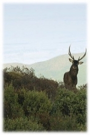 provincia2